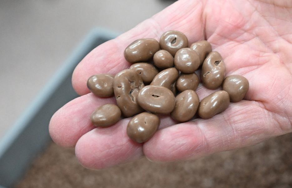 Schokolade ganz ohne Kakao Größte BranchenInnovation seit 100 Jahren