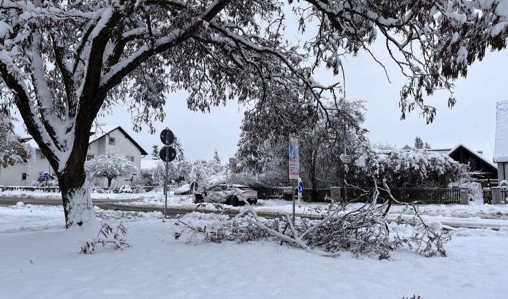 Schne Plz Von Ingolstadt Fotos