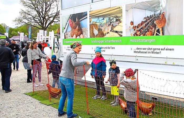  Gewerbemesse Manching wird international Motiv 