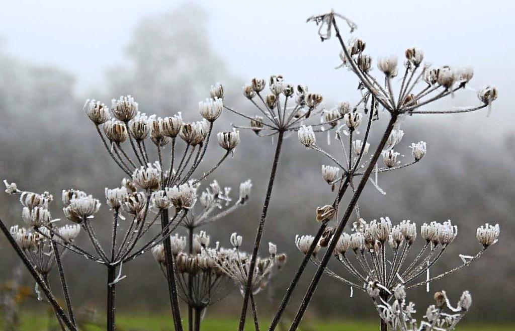 Gartenarbeit im Herbst Wie Sie Ihren Garten auf die frostige