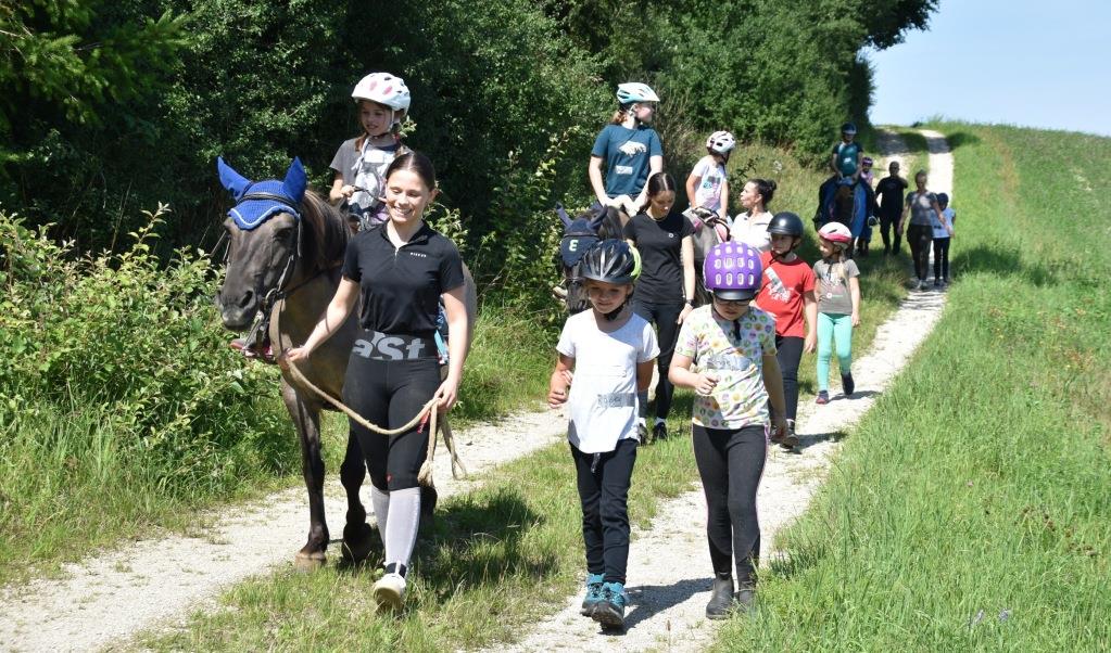 Am Bewegungsstall Denkendorf lernten elf Kinder den Umgang mit Pferden