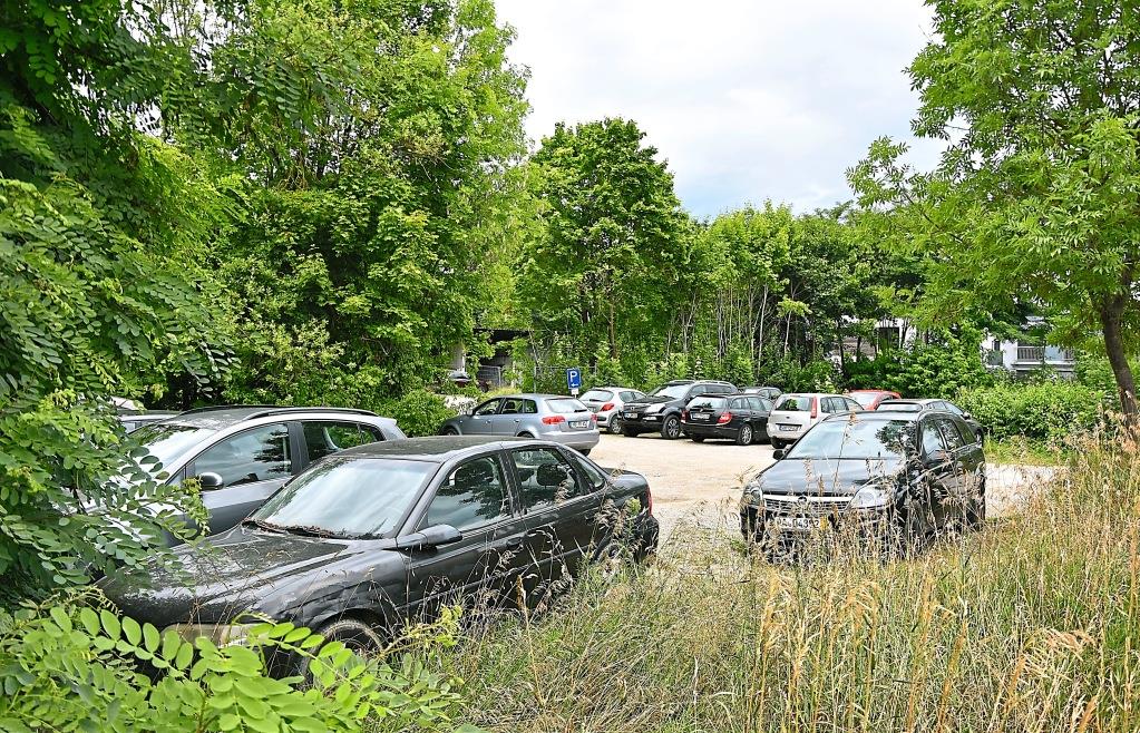 An der plant der Stadtrat Großes