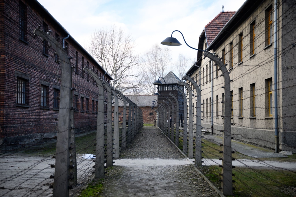 Holocaust-berlebende-Verteidigen-Sie-die-Demokratie