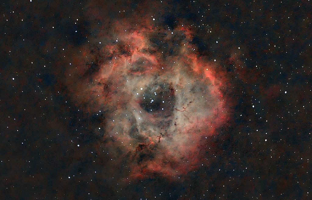 14-year-old from Ingolstadt photographs space from his garden