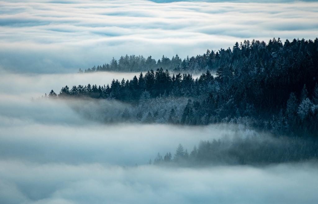Bayern-bei-Urlaubern-so-beliebt-wie-nie-Ministerin-Kaniber-kann-es-selbst-nicht-glauben-