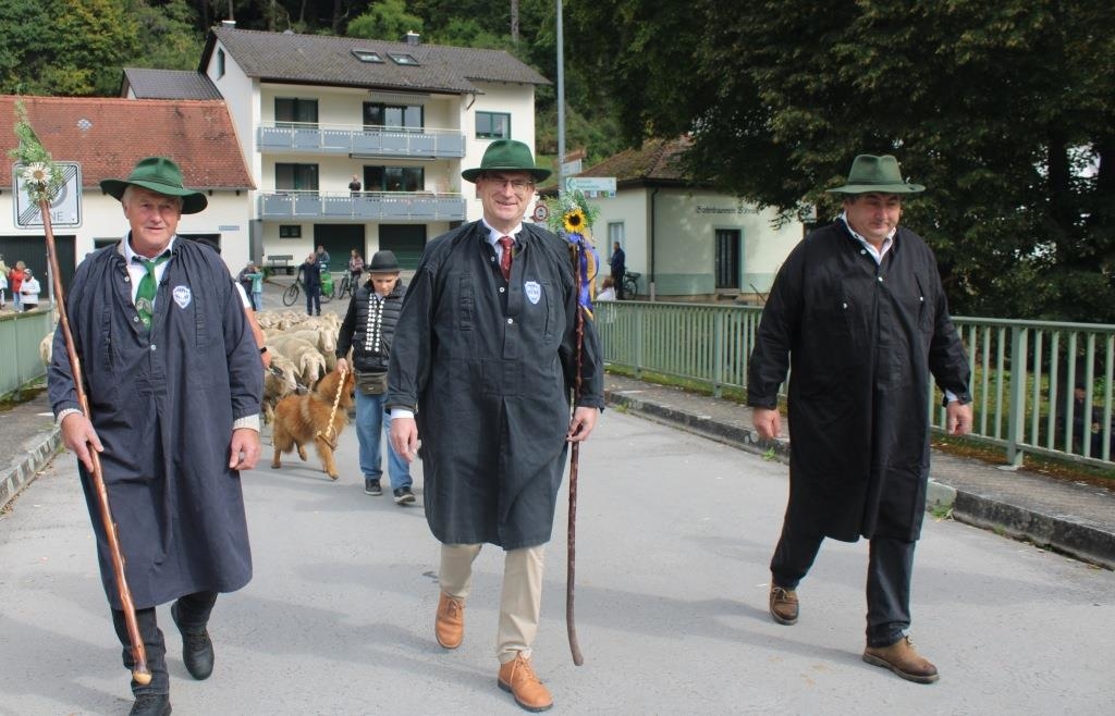 Alexander-Flierl-f-hrt-gro-e-Schafherde-in-B-hming-Polizeieinsatz-wegen-St-rung