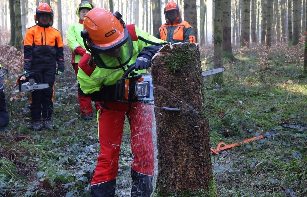 Chainsaw course for women only in the forest near Nassenfels