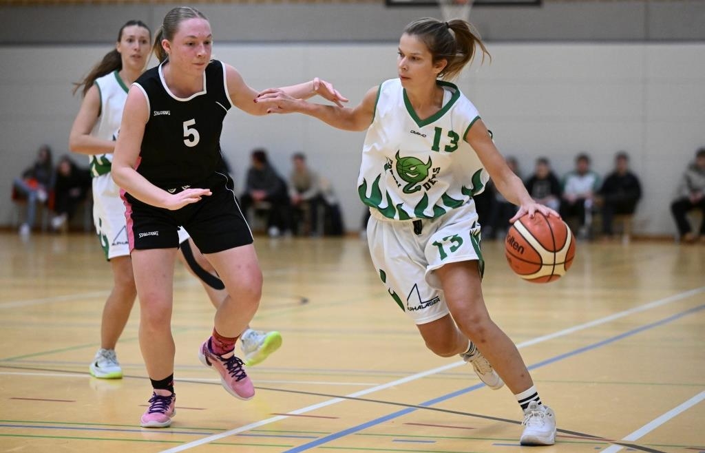 Damenteam-der-Schrobenhausen-Green-Devils-verpasst-die-Aufstiegs-Playoffs