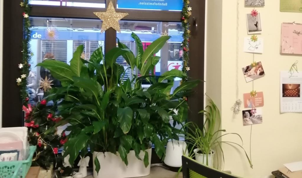 Bahnhofsmission Ingolstadt unterstützt bei jeglichen Notfällen