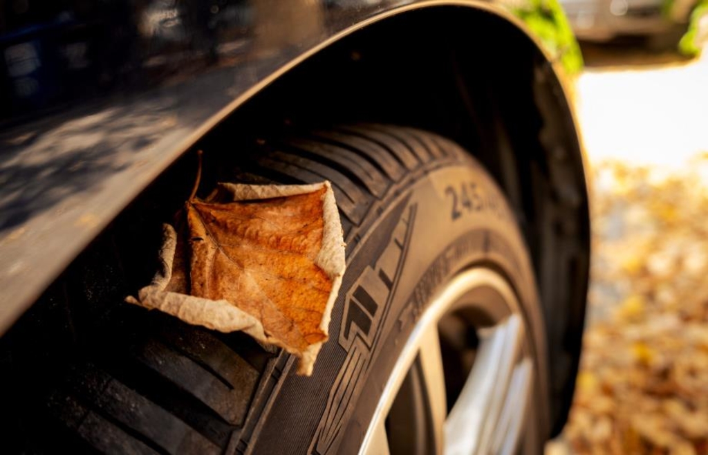 All-season tires tested: Only one model is convincing - | five fail