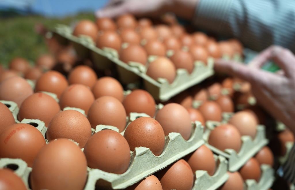 Incident in Dachau: 19-year-old threatens suspected egg thrower with a ...