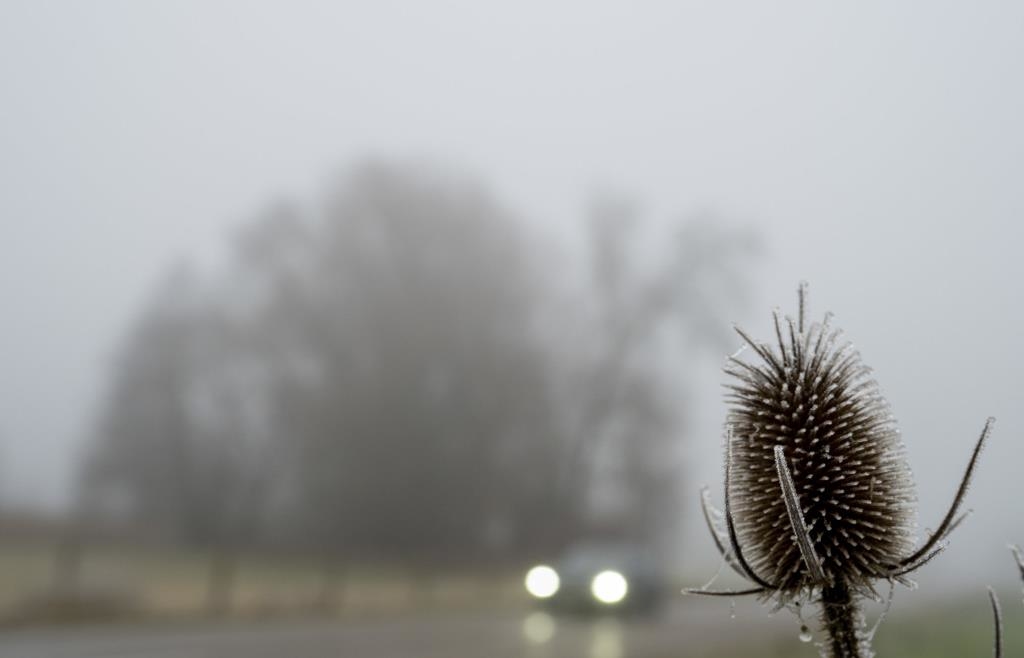 Mehr-Wolken-als-Sonne-am-Freitag-Im-Osten-Bayers-teilweise-nur-minus-f-nf-Grad