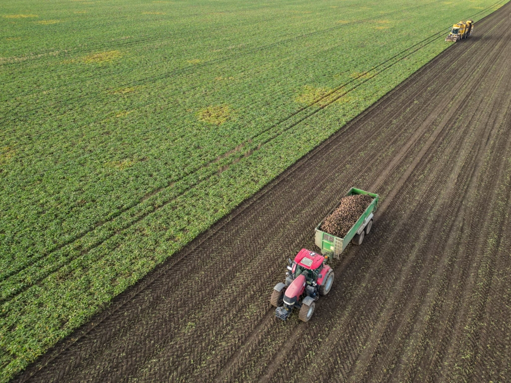 Bauern-mit-gedr-ckten-Erwartungen-f-r-2026