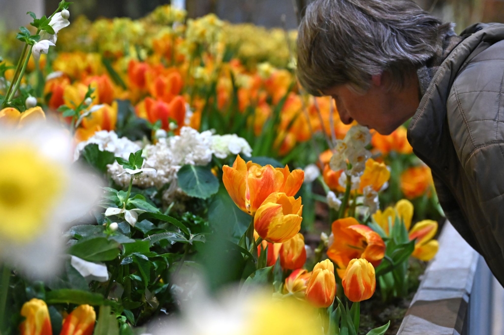 350-000-Besucher-auf-der-Gr-nen-Woche-Messechef-zufrieden