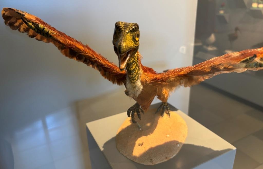 The Archaeopteryx from the Altmühl Valley is a true Bavarian prehistoric ...