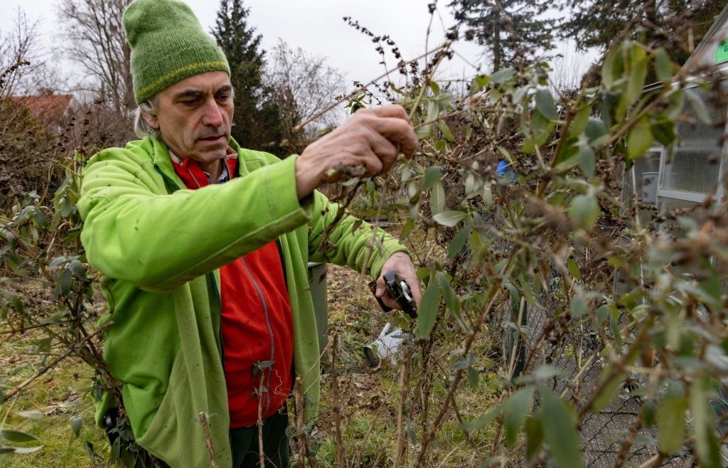 Kurs-zum-Baumschnitt-im-Gartenamt-Ingolstadt