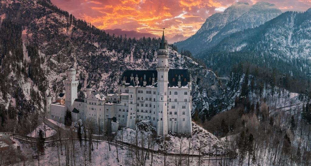 Touristin sperrt Hund in Schließfach – und besucht Schloss Neuschwanstein