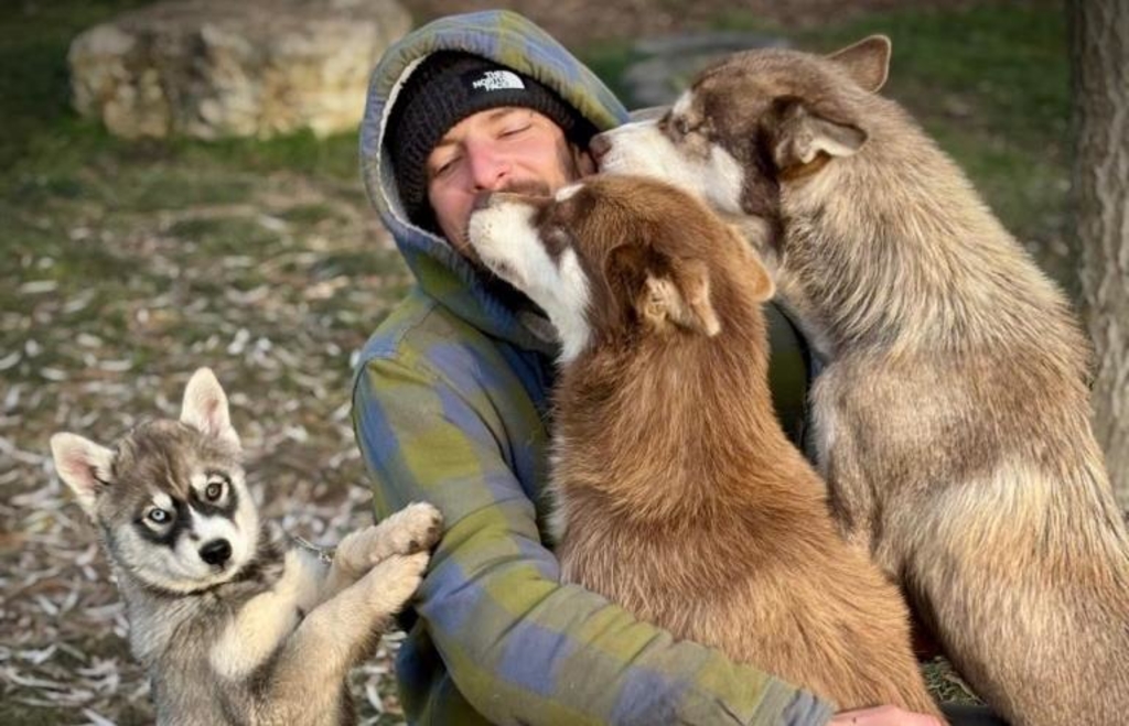 A Husky Ranch in the Altmühl Valley: The Steiger Family in Dietfurt Is ...