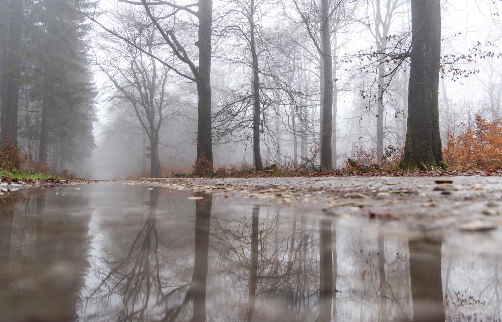 War-es-das-mit-dem-Winter-Nieselregen-zum-Start-ins-Wochenende
