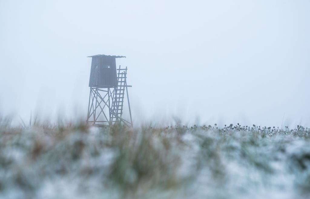Schuss-l-st-sich-J-ger-22-erschie-t-Bekannten-23-auf-Hochsitz