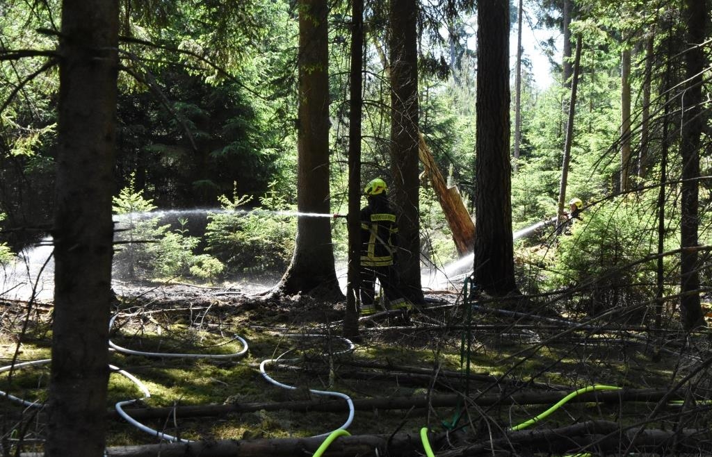 Zwei Waldbrände an einem Tag in Wald bei Schrobenhausen: Kripo ermittelt 