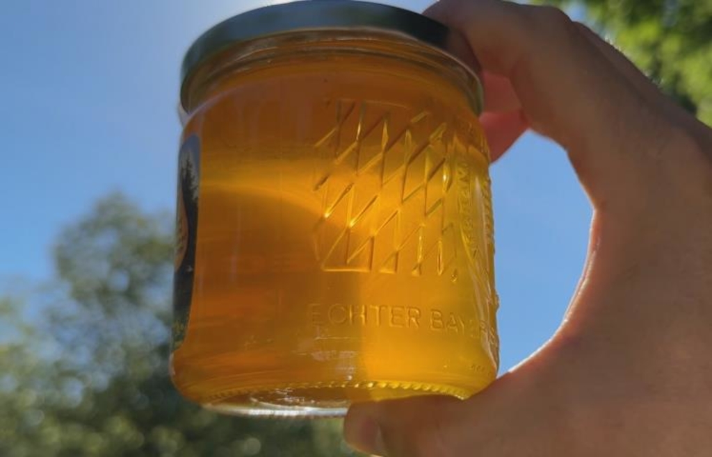 Vom Bienenstock ins Glas: So viel Arbeit steckt in jedem Löffel Honig
