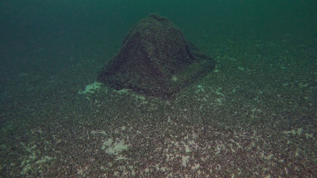 Vermisste-Kugel-mit-Gin-im-Bodensee-gefunden