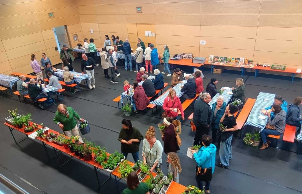 Hunderte Pflanzen bei Flohmarkt in Oberdolling verkauft