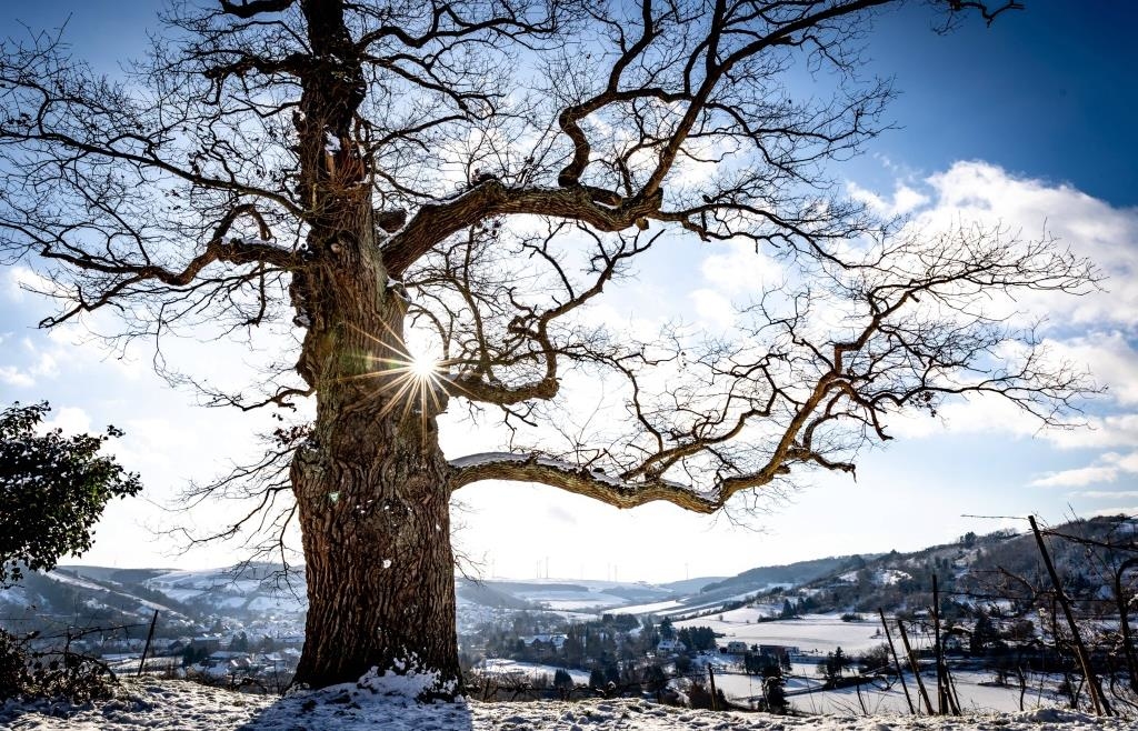 Schnee-Sonne-und-klirrende-K-lte-Winterwetter-h-lt-in-Bayern-an