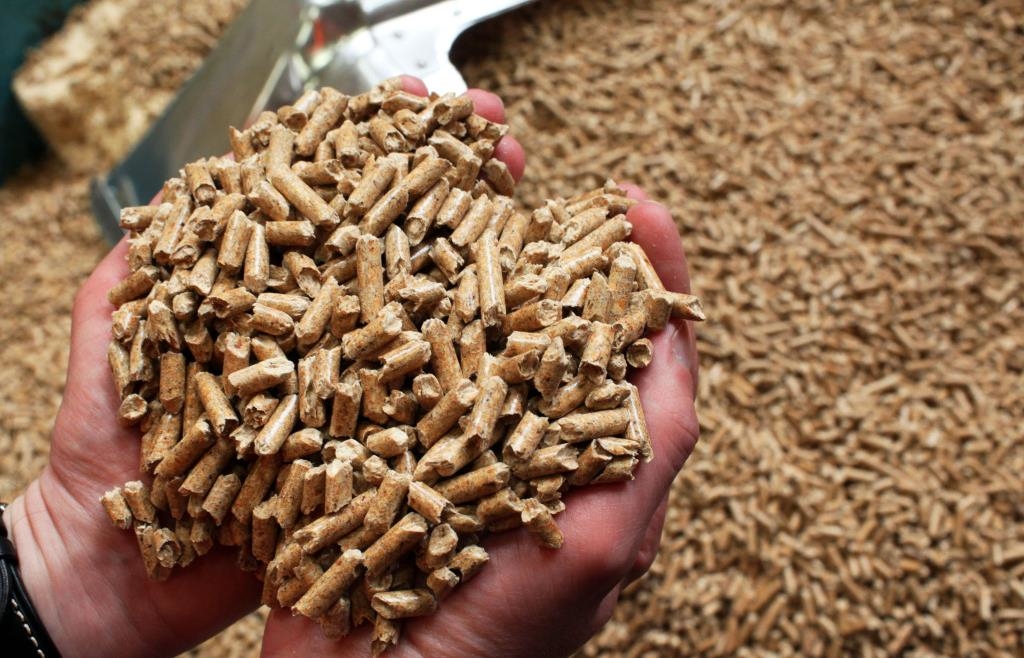 Pellet prices rise significantly - | Price advantage over heating oil and ...