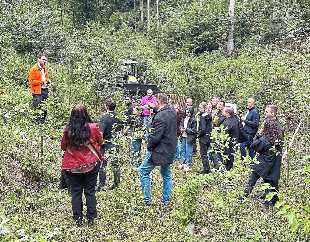 Wettbewerb, Waldprojekt und Gemeinschaft