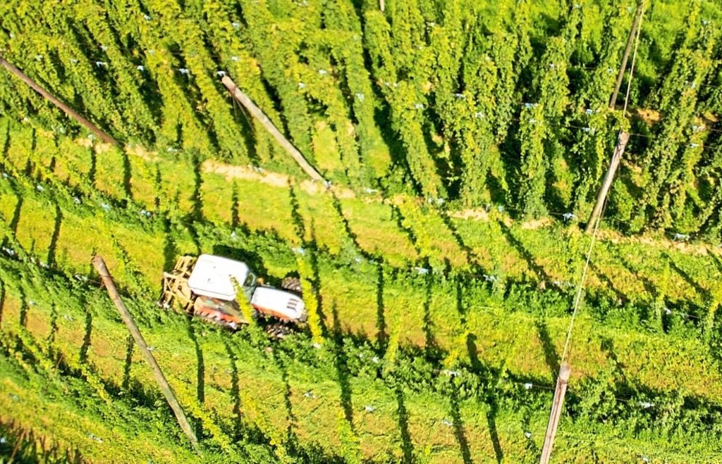 Hopfenbranche-blickt-trotz-vieler-Herausforderung-zuversichtlich-nach-vorne
