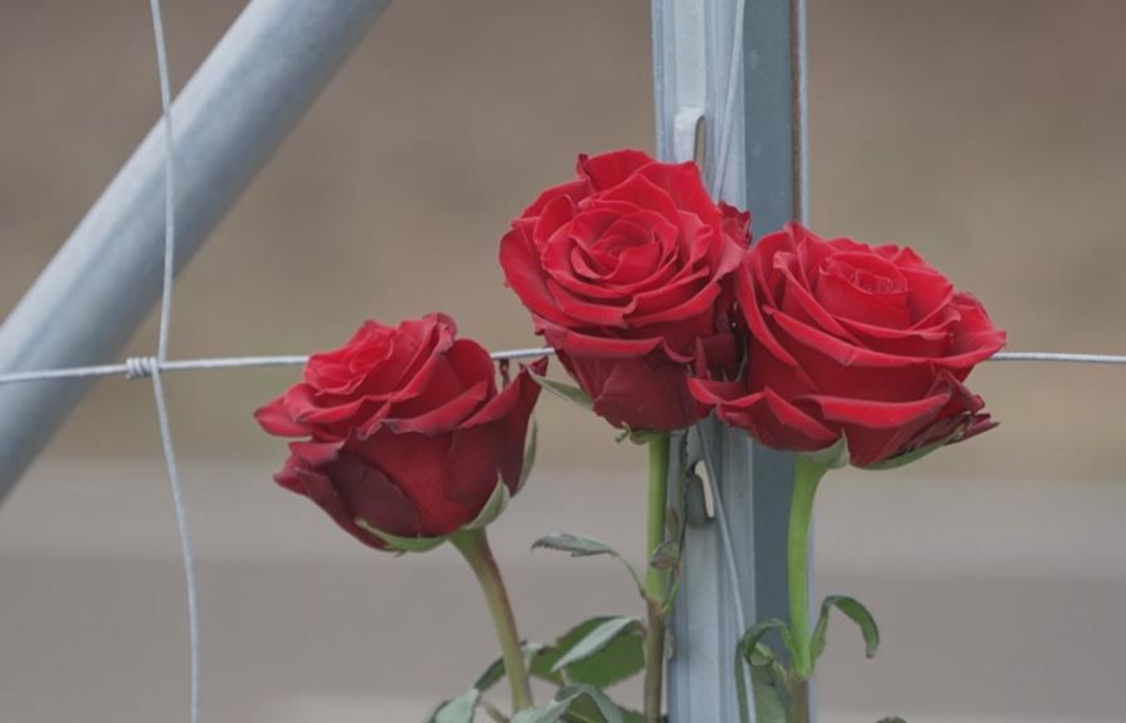 Zwei-Frauen-und-ein-Kind-tot-So-haben-die-Einsatzkr-fte-den-Unfall-auf-der-B2-erlebt