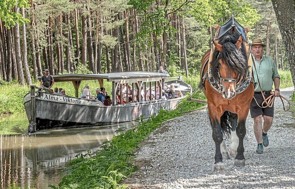 Völlig Abgefahren Der Lange Weg Zum Führerschein Der lange Weg zum Immateriellen Kulturerbe