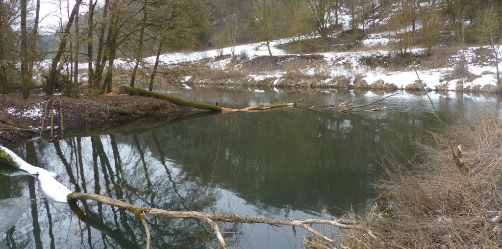 Baumpflege-an-der-Altm-hl-Sperrungen-wegen-Arbeiten-der-Flussmeisterei-in-Eichst-tt