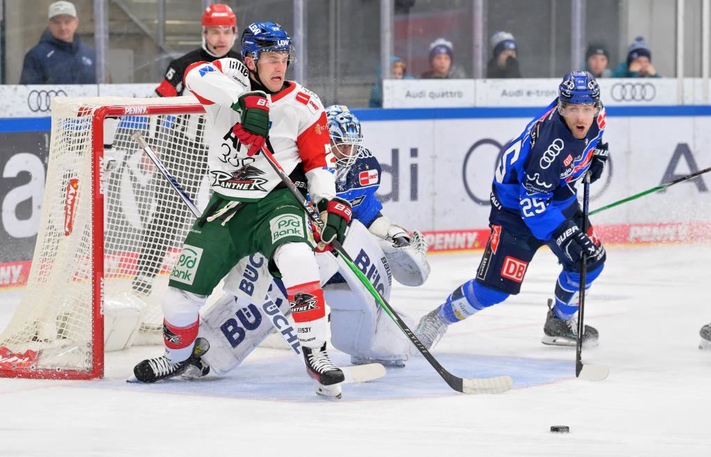 ERC Ingolstadt wins hard-fought Panther derby 6-3