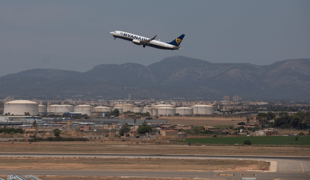 Hundewelpe-sorgt-am-Mallorca-Flughafen-f-r-Aufregung