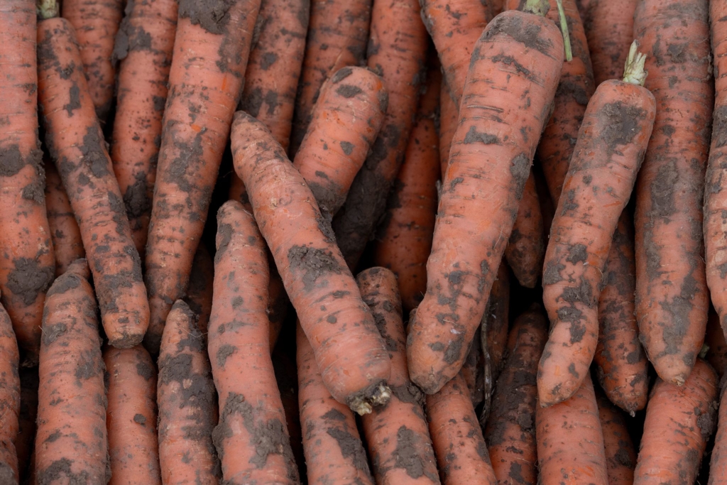 Bio-zunehmend-gefragt-Anbaufl-che-w-chst-nur-verhalten